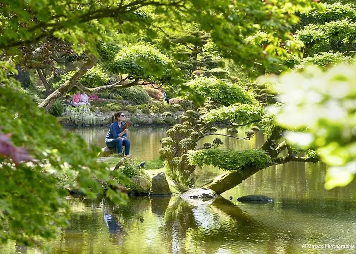לינה וארוחת בוקר Domaine Le Jardin Suspendu - Piscine Chauffee - Proche Parc Puy Dufou