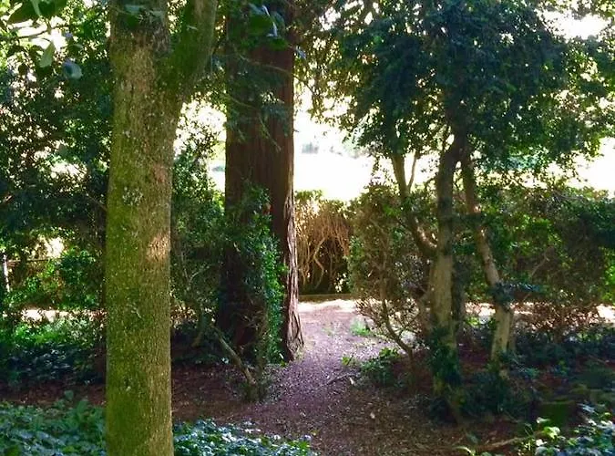 Domaine Le Jardin Suspendu - Piscine Chauffee - Proche Parc Puy Dufou 4*